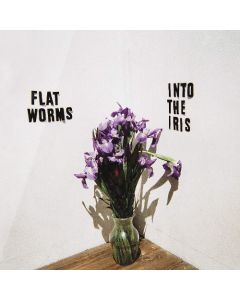 INTO THE IRIS