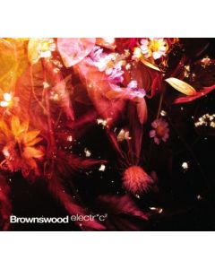 BROWNSWOOD ELECTRIC 2