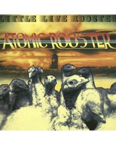 LITTLE LIVE ROOSTER