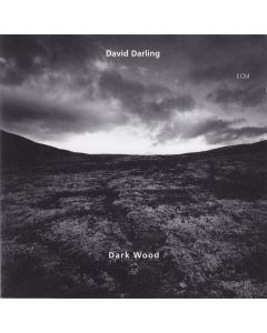 Dark Wood