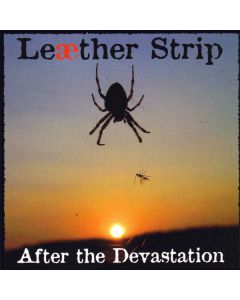 After The Devastation