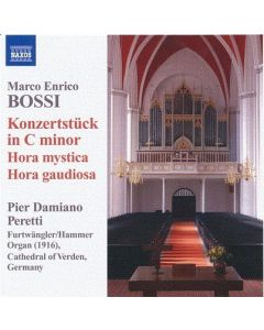 Konzertstück in C Minor, Hora Mystica, Hora Gaudiosa
