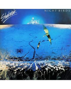 Night Birds