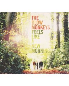 Feels Like A New Morning