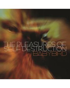 The Pleasures Of Self Destruction