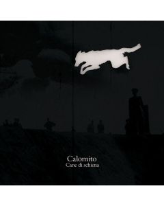 Cane Di Schiena