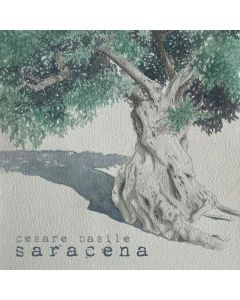 Saracena
