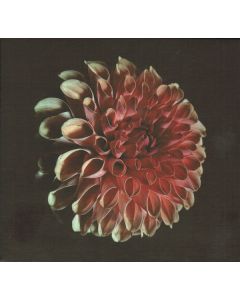 Unfolding
