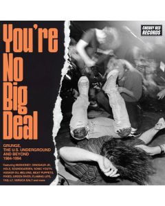 You’re No Big Deal (Grunge, The U.S. Underground And Beyond 1984-1994)
