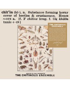 Chitinous