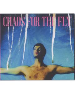 Chaos For The Fly