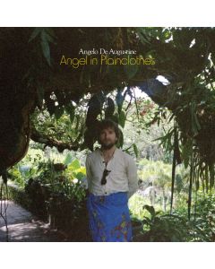 Angel In Plainclothes