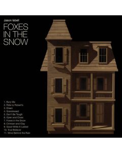 Foxes In The Snow