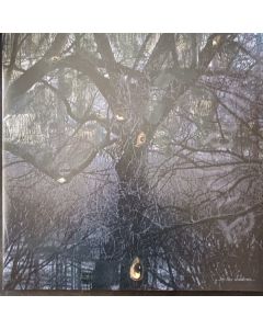 ...By The Shadows...