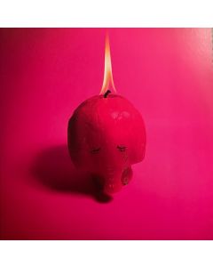 Pink Elephant