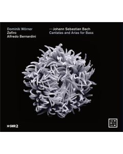 Cantatas And Arias For Bass