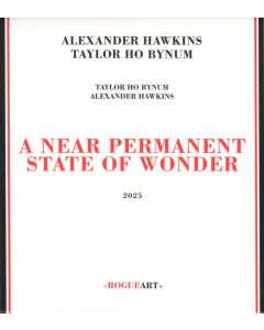 A Near Permanent State Of Wonder