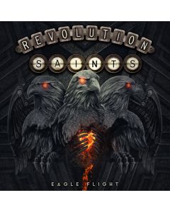 Eagle Flight