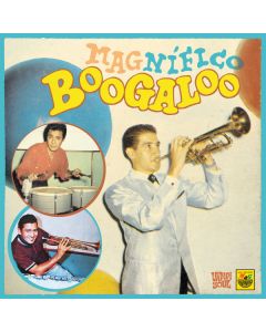 Magnifico Boogaloo