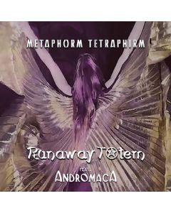 Metaphorm Tetraphirm