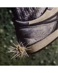 Tread