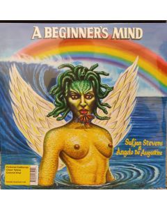 A Beginner's Mind