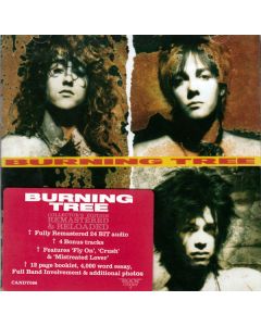 Burning Tree