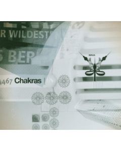 Chakras From Brazil To Berlin