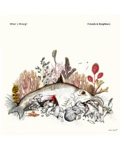 What's Wrong?