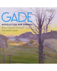 Novelletter For Strings