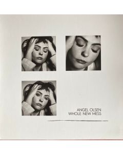 Whole New Mess