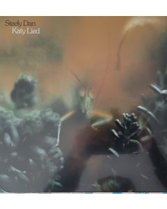 KATY LIED