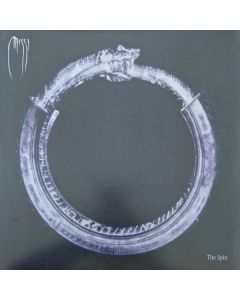 The Spin
