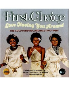 Love Having You Around: The Gold Mind Recordings (1977-1980)