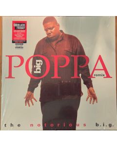 Big Poppa (Remix)