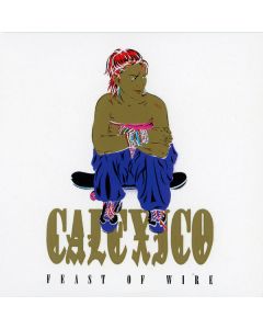 Feast Of Wire