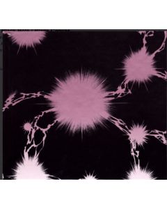 Black Hole / Blank Canvas
