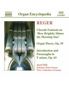 Organ Works 4