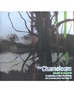 Dreams In Celluloid (A Collection Of Rare Recordings)
