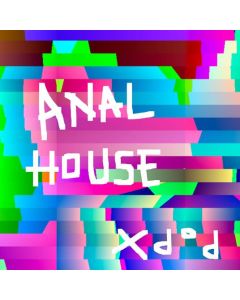 ANAL HOUSE