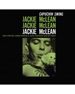Capuchin Swing