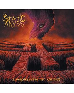 Labyrinth Of Veins