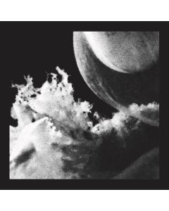 Embryo