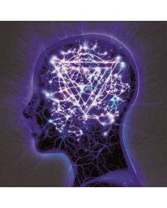 The Mindsweep