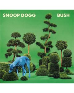 Bush