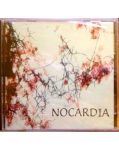 Nocardia