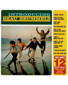 Introducing The Beau Brummels