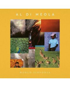 World Sinfonia