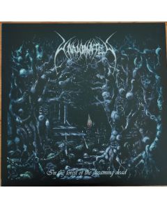In The Forest Of The Dreaming Dead