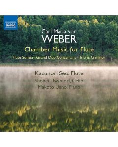 Chamber Music For Flute